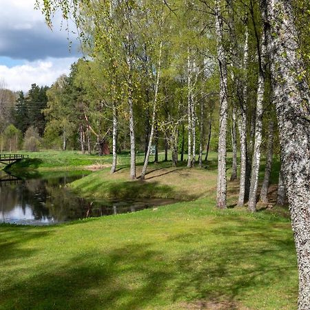 Brivdienu Maja Vejini Straupe Luaran gambar