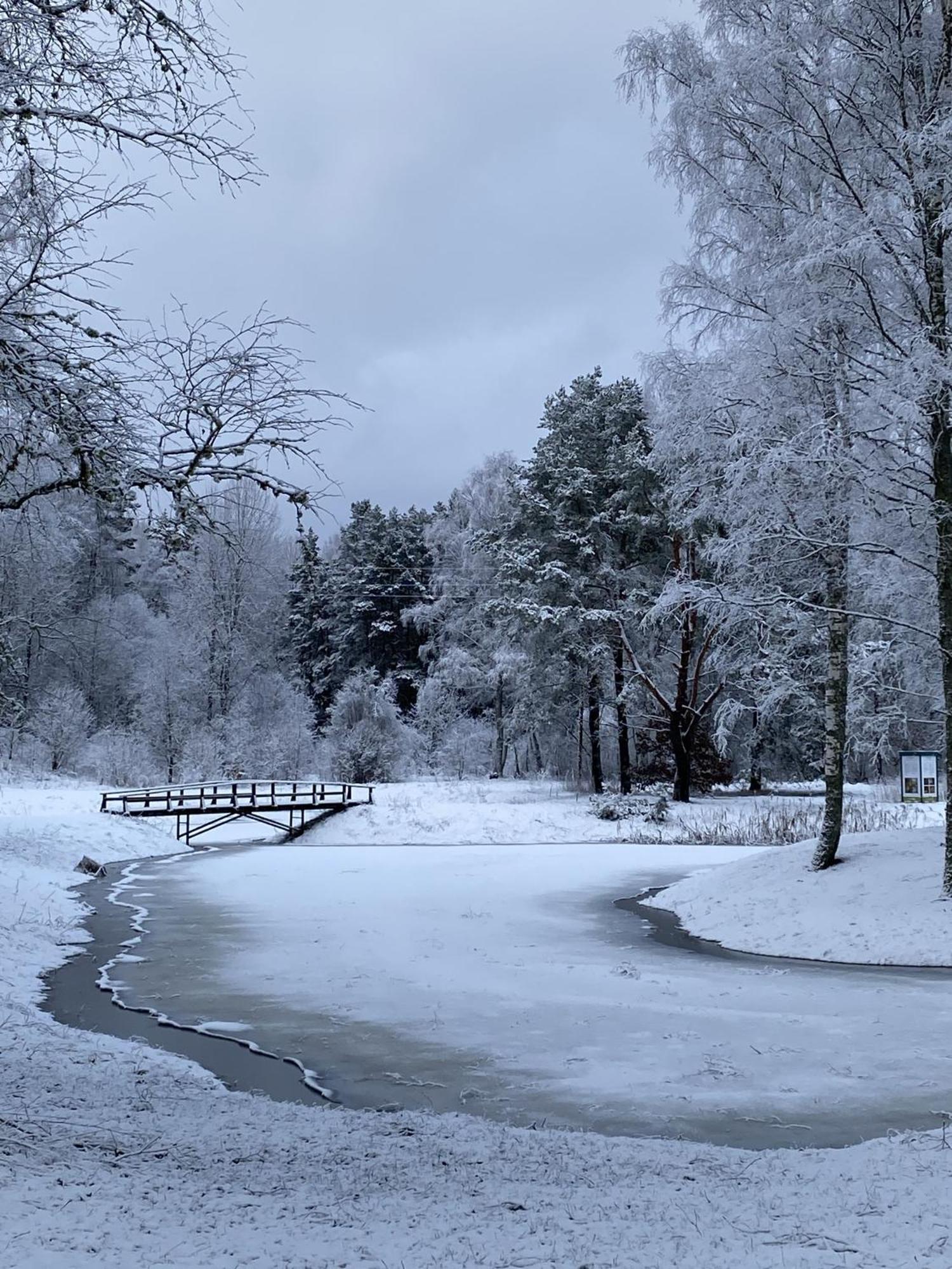 Brivdienu Maja Vejini Straupe Luaran gambar