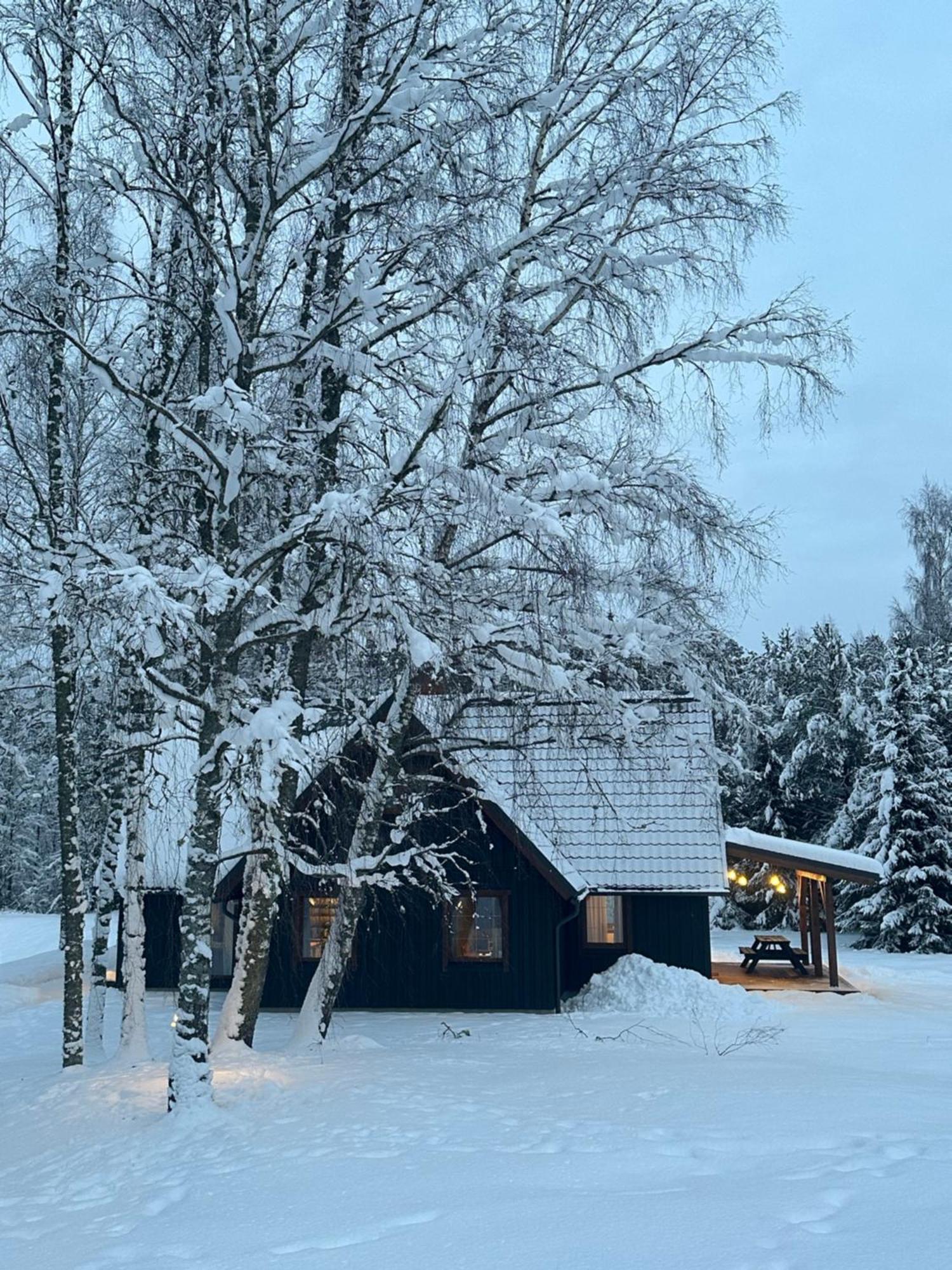 Brivdienu Maja Vejini Straupe Luaran gambar